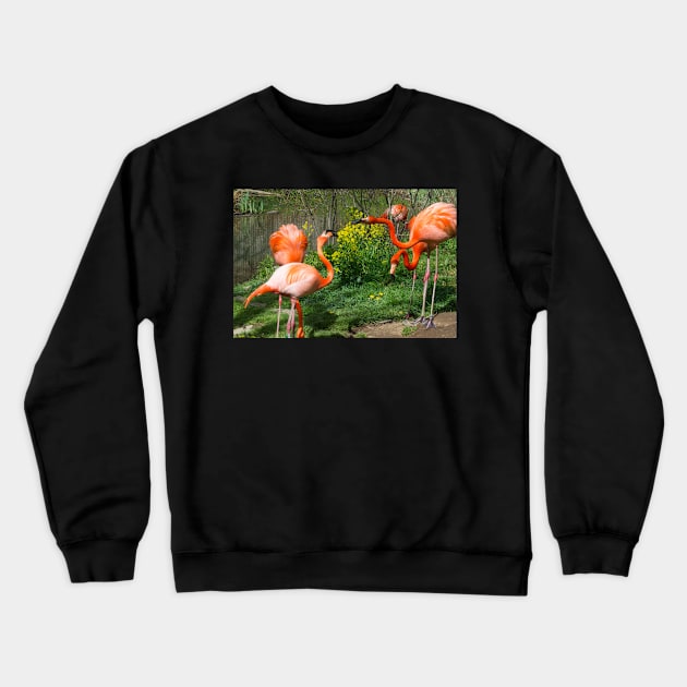 Flamingo Fight Crewneck Sweatshirt by Imagery